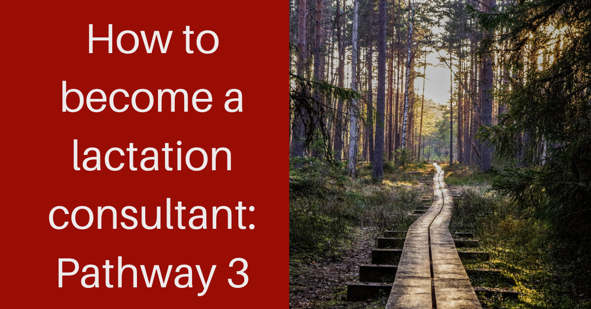 How to become a lactation consultant: Pathway 3